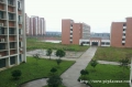 У԰����2