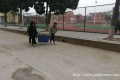 ������ɨ��