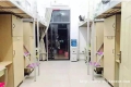 ѧУ����