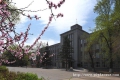 У԰����