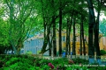 ѧУ����