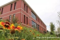 ѧУ����