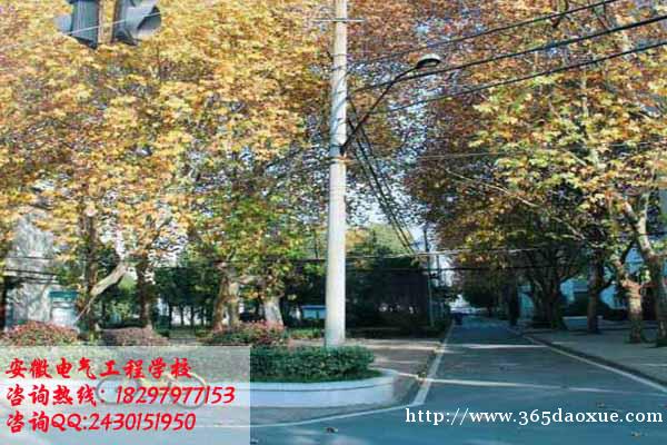 计算机动漫与游戏制作 计算机动漫与游戏制作