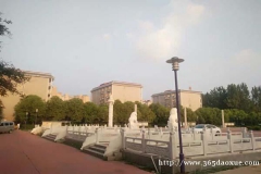 �赸����רҵ