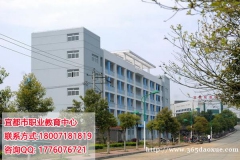 �˶���ְҵ��������2019����������