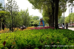 ����ְҵ����ѧԺ��ר�������Ӧ��רҵ