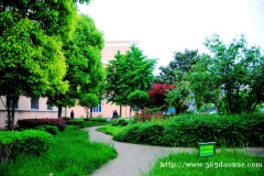 �в������Ӫ����ʳרҵ