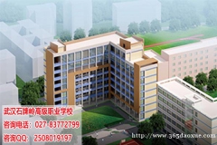 �人��ʯ����߼�ְҵ��ѧ��������