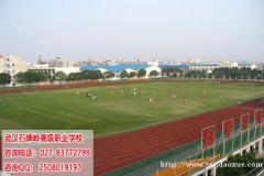 �人��ʯ����߼�ְҵ��ѧ���η�����������