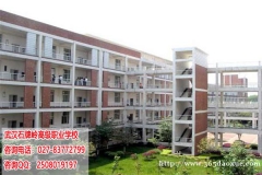 �人��ʯ����߼�ְҵ��ѧ��������