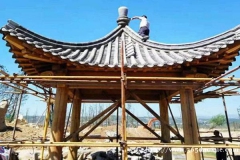 �Ž���������½�
