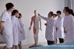 针灸推拿 针灸推拿